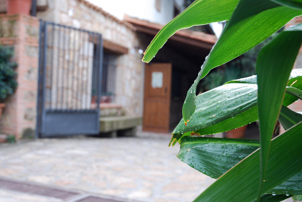 Hostal El Cardenillo Madrigal de la Vera Kültér fotó